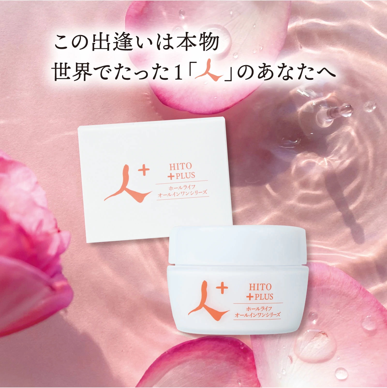 【ダイエット】４個セット ホールライフ オールインワンシリーズ 木 ライトハウス ダイエット】4個セット ホールライフ オールインワンシリーズ